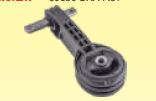 COXIM DO MOTOR TRASEIRO