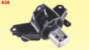 COXIM DO MOTOR