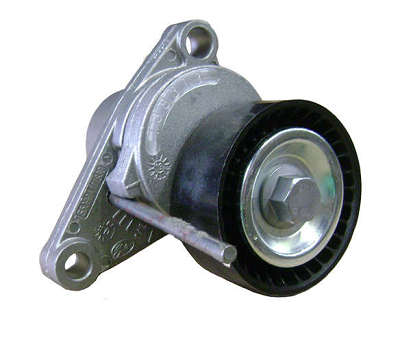 Tensionador Da Correia Micro-V®