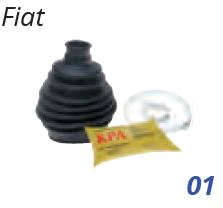 KIT DE HOMOCINÉTICA ELASTICA
