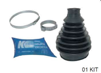 KIT DE HOMOCINÉTICA