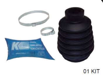 KIT DE HOMOCINÉTICA