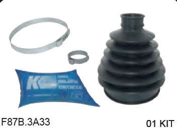 KIT DE HOMOCINÉTICA