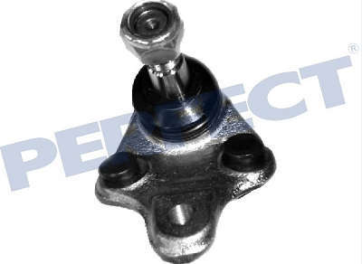 PIVO INFERIOR LD/ LE