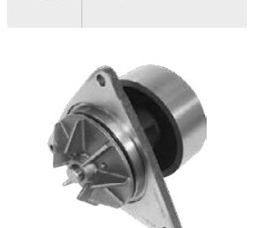 Bomba Dagua Motor Cummins Ford Cargo Vw 14220