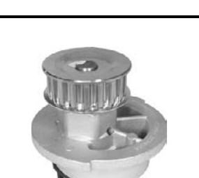 Bomba Dagua 19 Dentes Gm