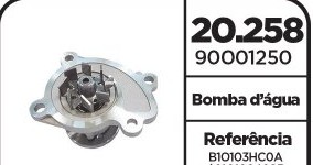 Bomba Dagua Renault/Nissan