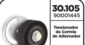 Tensionador da Correia do Alternador
