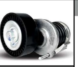 Tensionador Da Correia Poly V