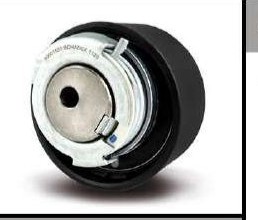 Tensionador Correia Dentada Citroen/Fiat/Peugeot