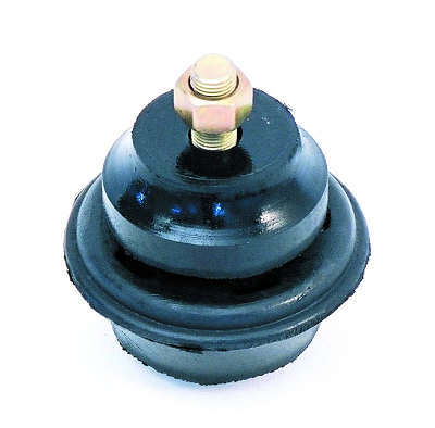 Suporte dianteiro do motor (MWM) completo
